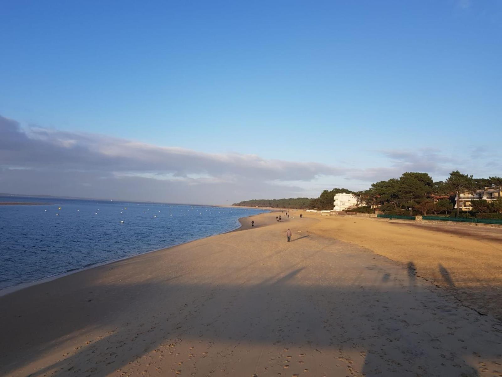 Appart Les Goelands Piscine Et Jardin Andernos-les-Bains Eksteriør billede
