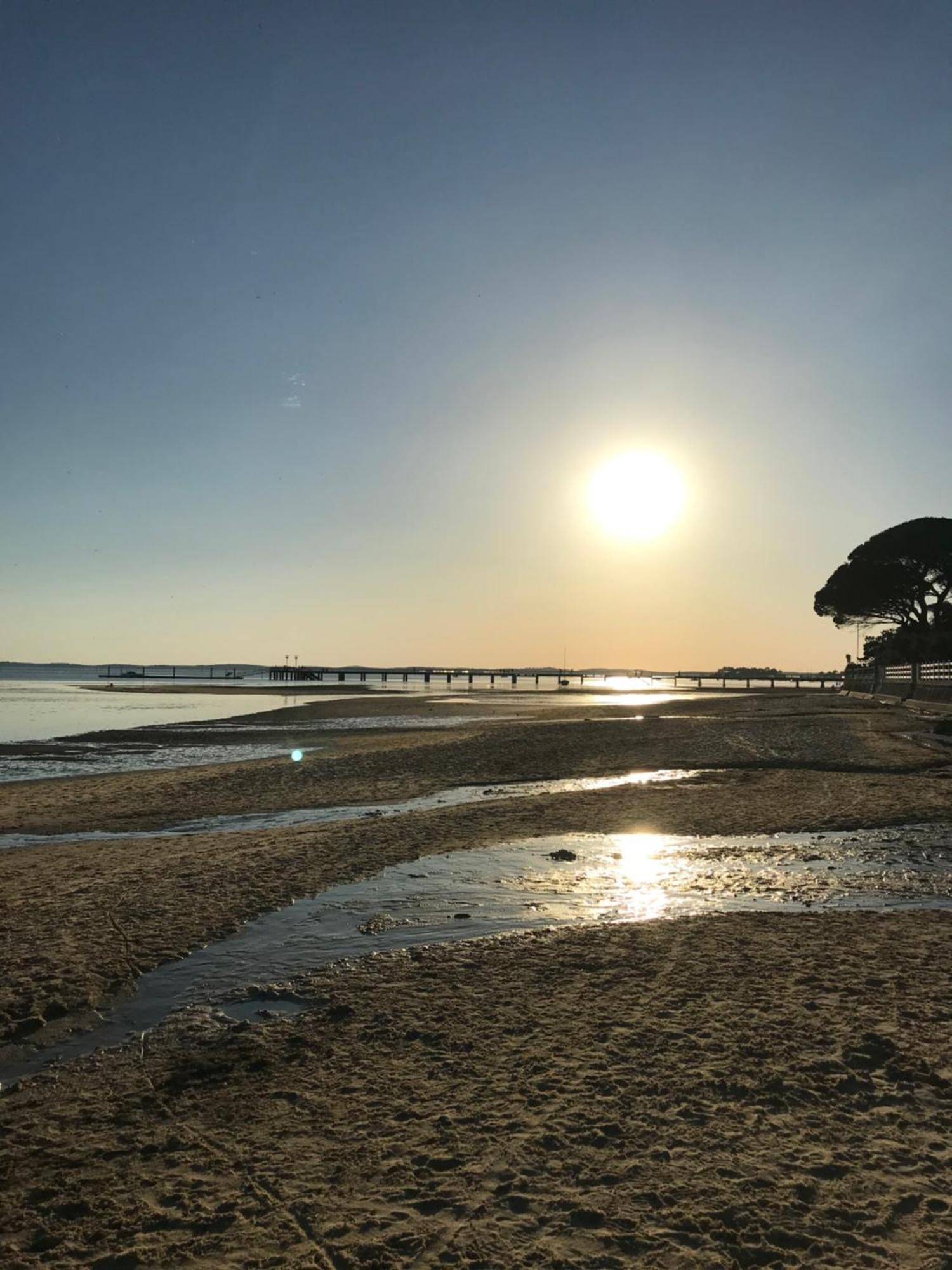 Appart Les Goelands Piscine Et Jardin Andernos-les-Bains Eksteriør billede