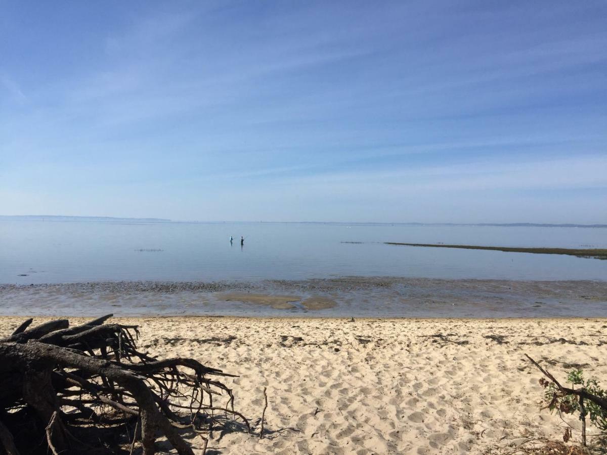 Appart Les Goelands Piscine Et Jardin Andernos-les-Bains Eksteriør billede
